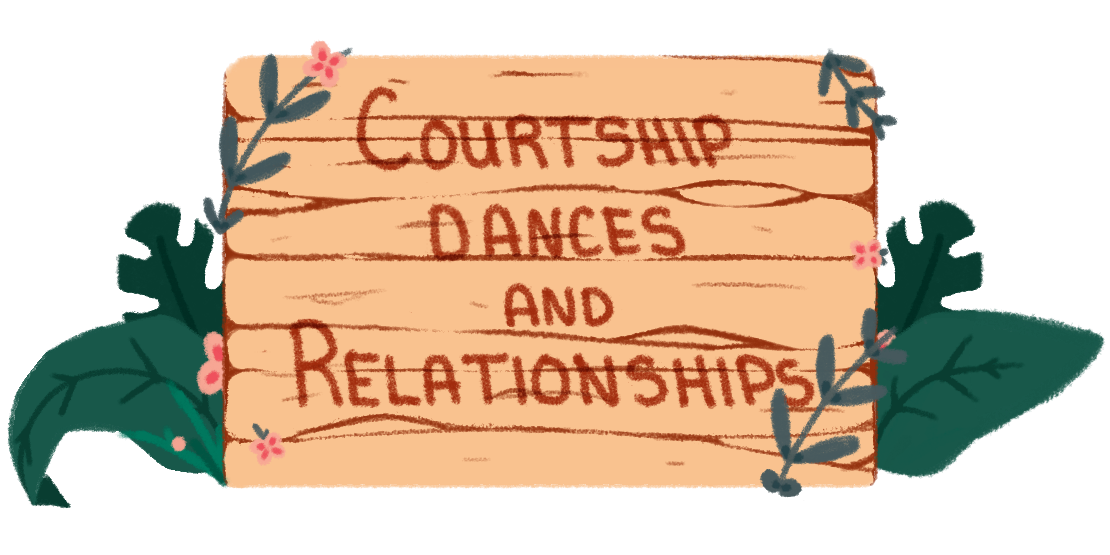Courtship Dances and Relationships
